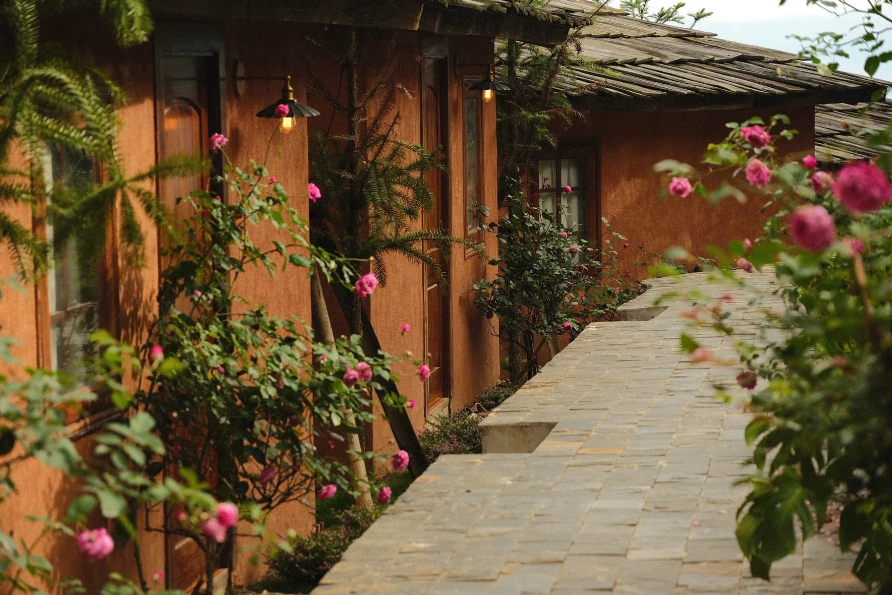 Lối đi có hoa hồng dọc các phòng